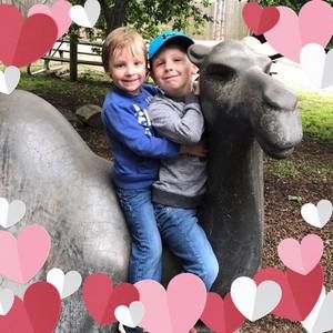 Meet your Posher, Susan